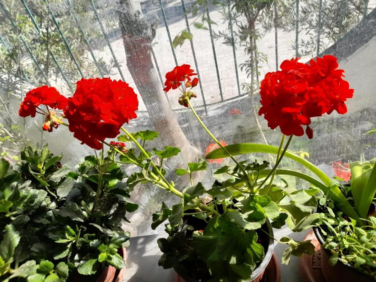 Bar Restorant Hotel Altini Avlonya Dış mekan fotoğraf